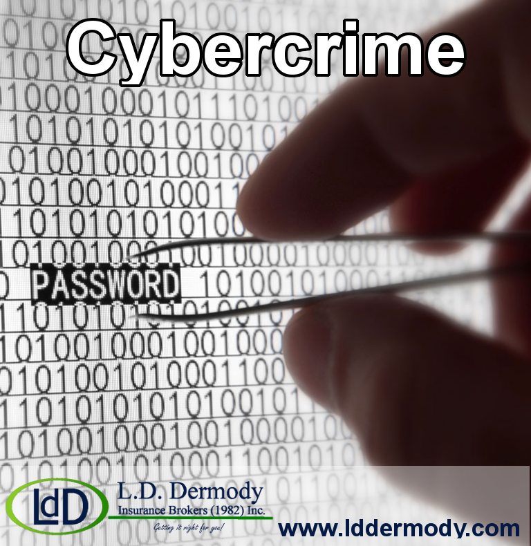 Cybercrime 