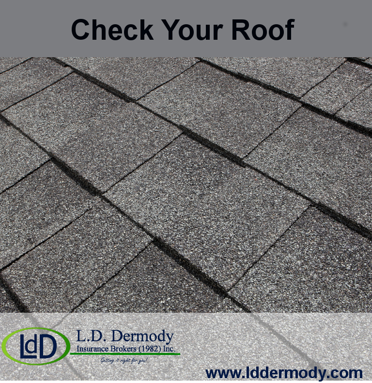 Check Your Roof