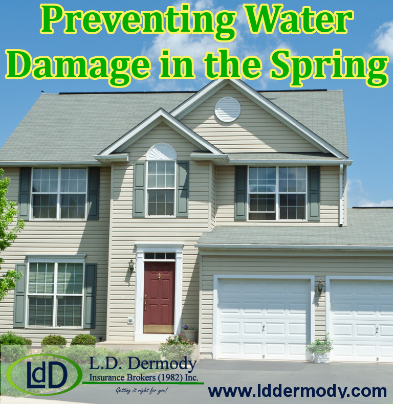 Preventing Water Damage In The Spring 