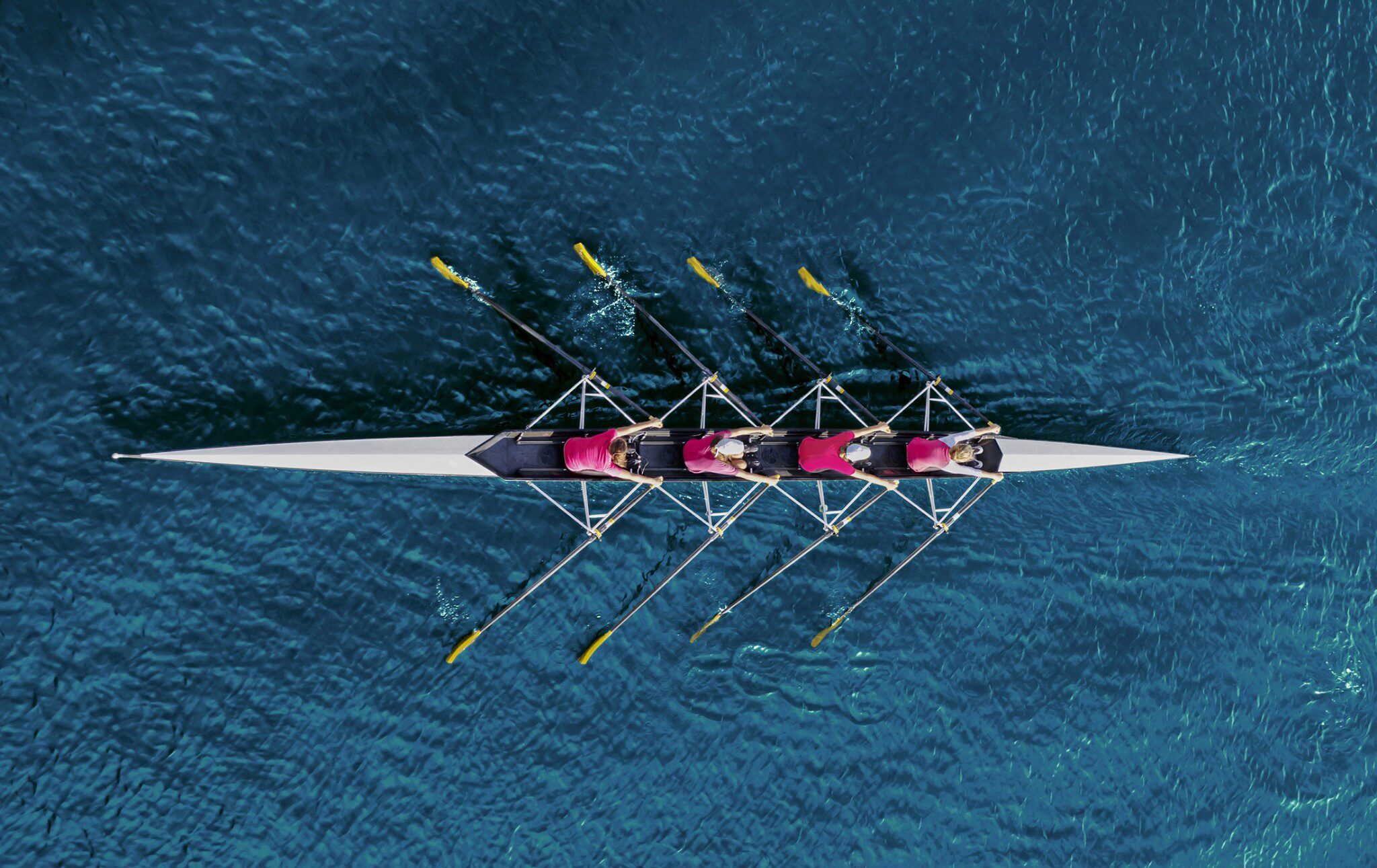 “Bark is on Our Org Chart”: Serving from the Inside Out