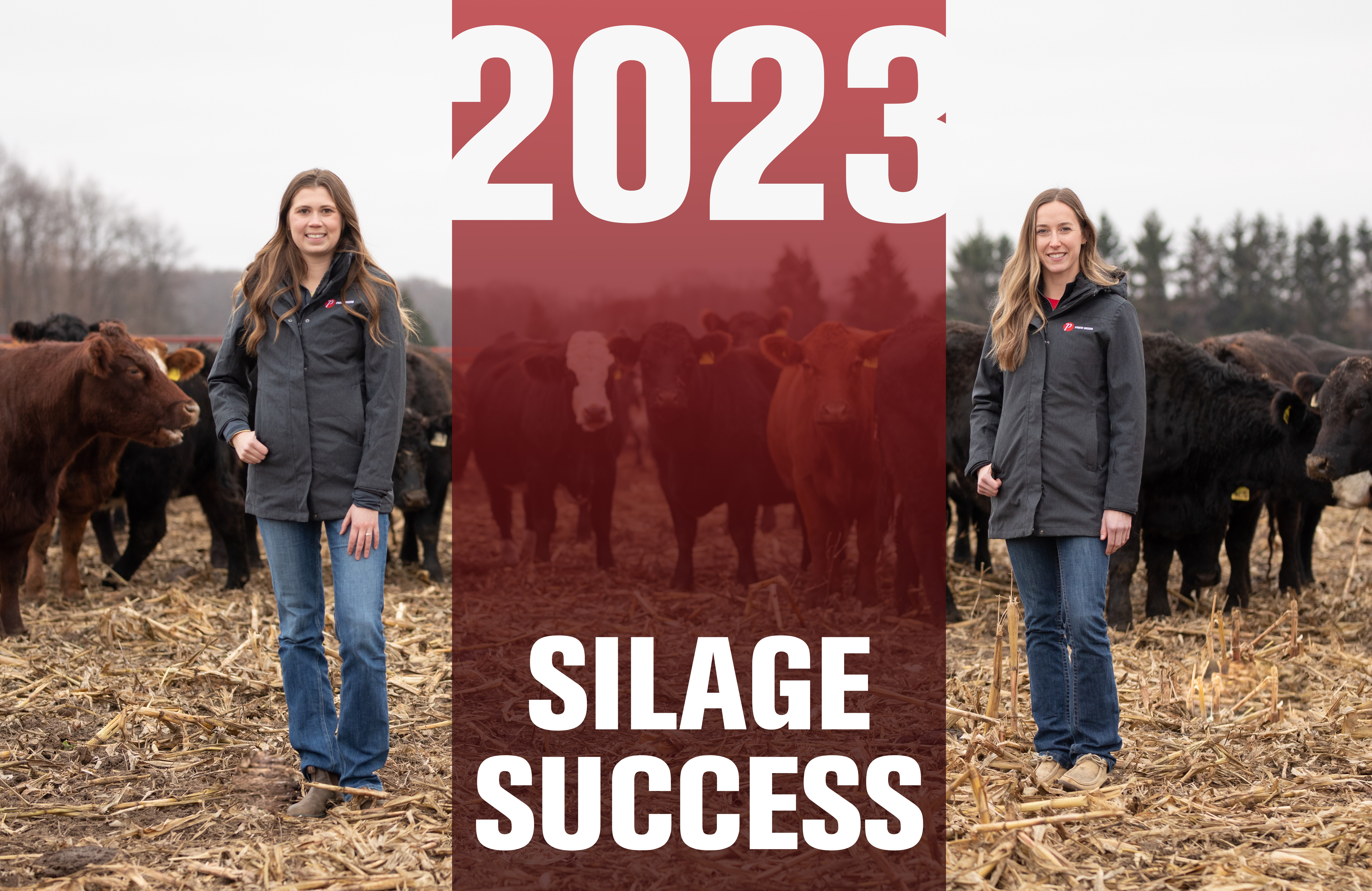 Tonnage, Energy, and Silage Success: Optimizing Your Corn Crop