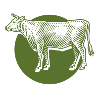 Grass-Fed and Finished Beef